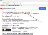 torrentkitty search engine怎么用