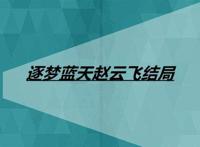 逐梦蓝天赵云飞结局