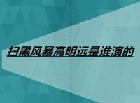 扫黑风暴高明远是谁演的