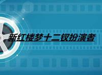 新红楼梦十二钗扮演者