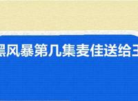 扫黑风暴第几集麦佳送给王政