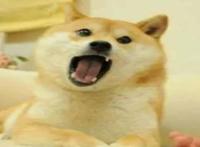 doge是什么意思，doge怎么出现的