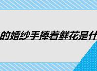 洁白的婚纱手捧着鲜花是什么歌