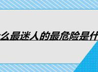 为什么最迷人的最危险是什么歌