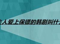 夫人爱上保镖的韩剧叫什么