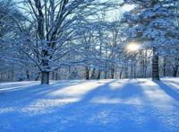 下雪打雷是什么征兆，下雪打雷科学的说法