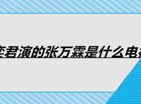 刘奕君演的张万霖是什么电视剧