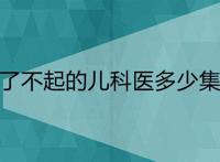 了不起的儿科医多少集