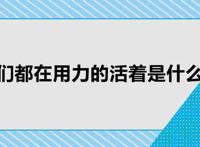 我们都在用力的活着是什么歌