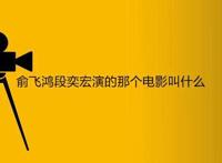 俞飞鸿段奕宏演的那个电影叫什么