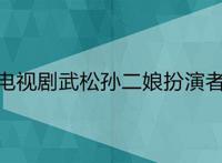 电视剧武松孙二娘扮演者