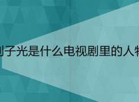 刘子光是什么电视剧里的人物