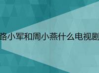 路小军和周小燕什么电视剧