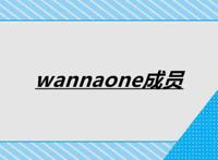 wannaone成员