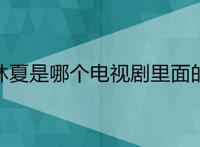 林夏是哪个电视剧里面的