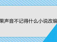 如果声音不记得什么小说改编的