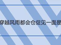 从前你穿越风雨都会仓促见一面是什么歌