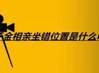 富家千金相亲坐错位置是什么电视剧