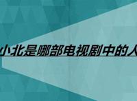 张小北是哪部电视剧中的人物