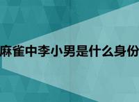 麻雀中李小男是什么身份