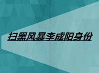 扫黑风暴李成阳身份