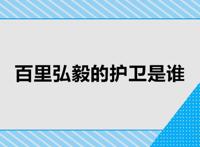 百里弘毅的护卫是谁