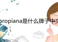 loropiana是什么牌子中文