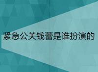 紧急公关钱蕾是谁扮演的