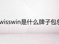 swisswin是什么牌子包包