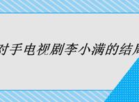 对手电视剧李小满的结局