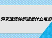 郭采洁演的梦婕是什么电影