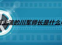 陈宝国主演的川军师长是什么电视剧