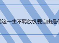 原谅我这一生不羁放纵爱自由是什么歌