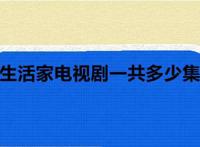 生活家电视剧一共多少集