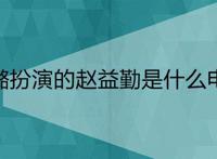 秦海璐扮演的赵益勤是什么电视剧