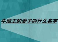 牛魔王的妻子叫什么名字