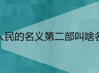 人民的名义第二部叫啥名