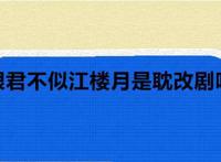 恨君不似江楼月是耽改剧吗