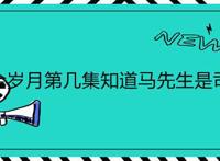 流金岁月第几集知道马先生是司机