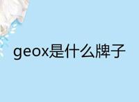 geox是什么牌子