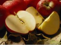 苹果营养减肥法
