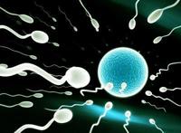 肾虚会影响精子质量吗？