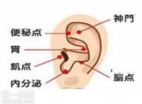 耳朵减肥穴位图 找准四个点即可帮助减肥