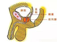 送你一份男题攻略,专治男友炎而无性