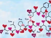 问世间情为何物，揭秘爱情背后的神经科学！