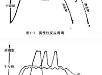 G点都知道吧！居然还有A点、U点、C点