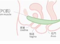 让男生更硬、女生更性福的羞羞运动这样做才有用