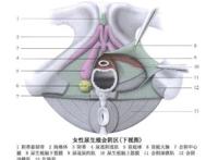 爱爱时下面流出来的水，到底多少才正常...