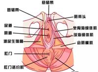 下面松弛，亲密时没感觉怎么办