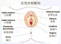 白带异常，下面味道不好闻怎么办